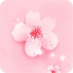 香蕉视频下载最新版
