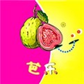 噼里啪啦最新版