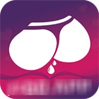 六夜正版播放器在线下载