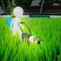 草坪粉碎机(Lawn Crusher)免费手机游戏app